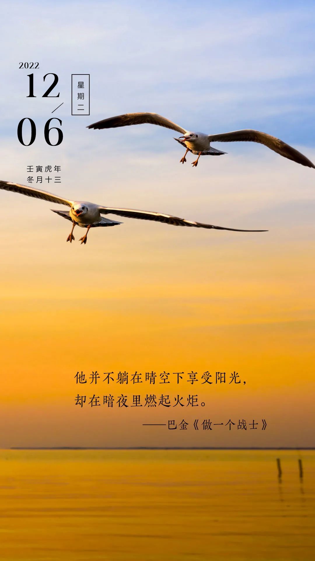 仲村由理_仲村由理_仲村由理
