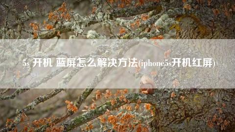 死机蓝屏玩手机游戏没反应_死机蓝屏玩手机游戏有用吗_手机玩游戏蓝屏死机了