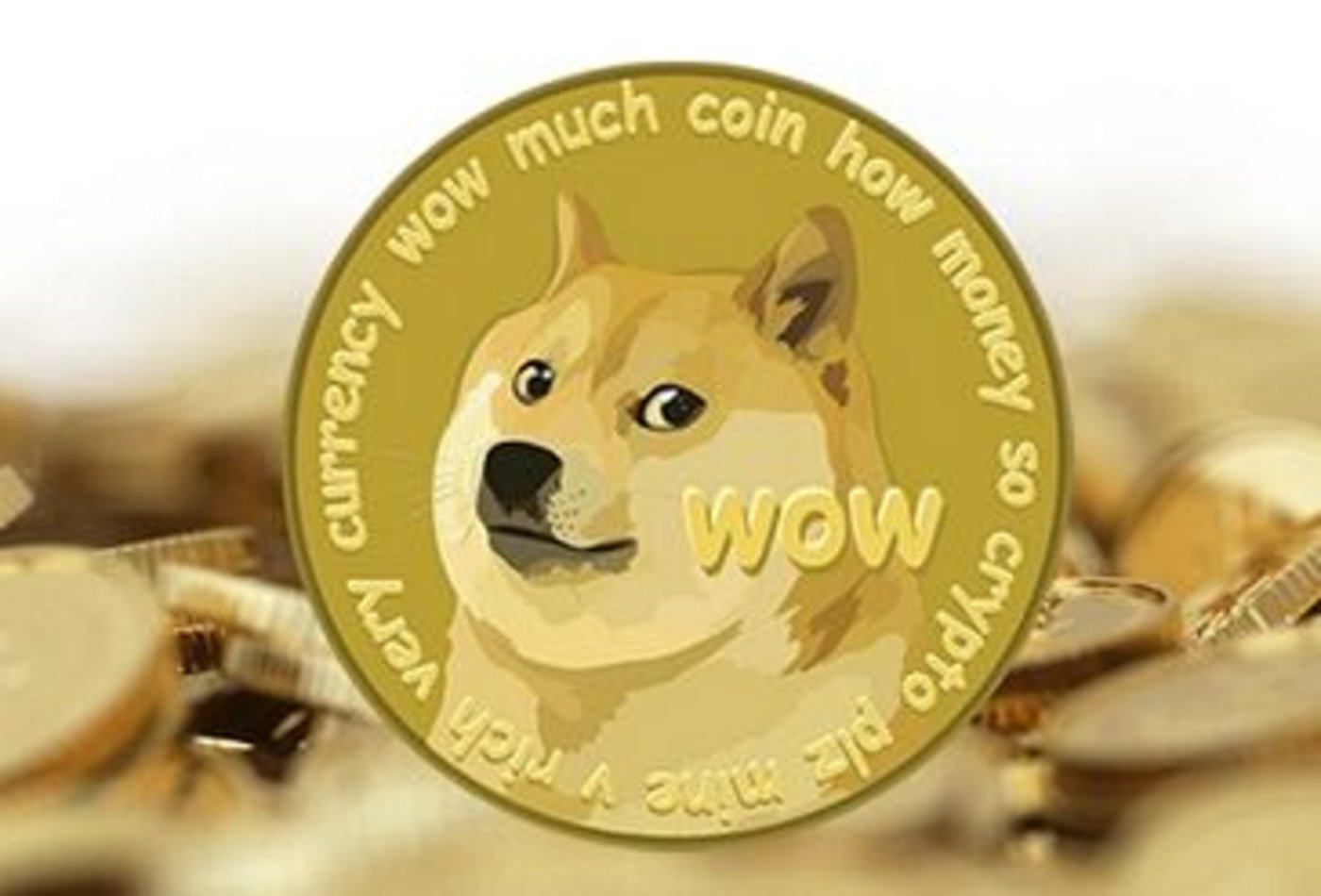钱包创建教程_im钱包怎么创建doge_钱包创建平台