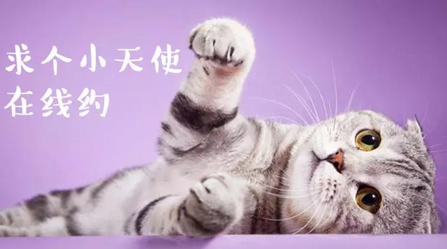 套圈的手机游戏_手机游戏套袋_好玩的袋袋游戏