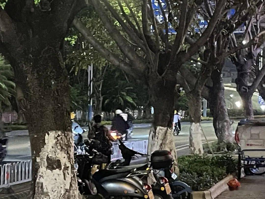 青桔单车的热线电话_查一下青桔单车服务热线_青桔单车客服热线0531