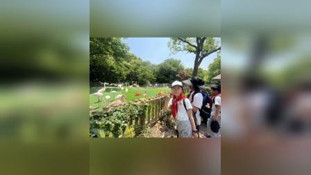 小狐狸钱包客服电话多少_狐狸钱包代币_狐狸钱包的手续费高吗