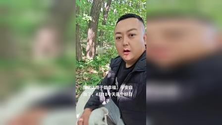 小狐狸钱包客服电话多少_狐狸钱包代币_狐狸钱包的手续费高吗