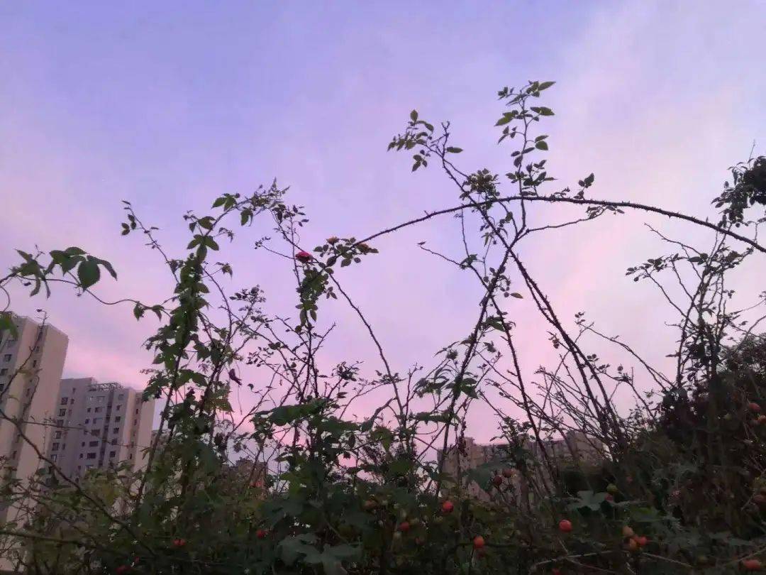 手机游戏的经典语句_经典语录游戏_手游经典语录