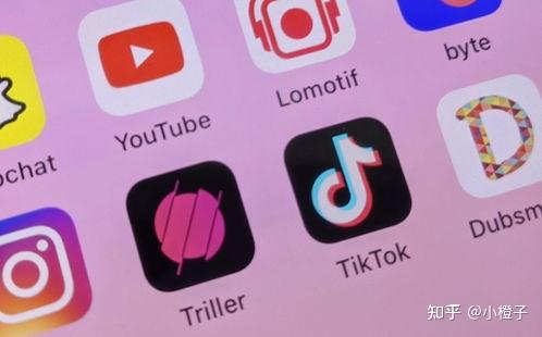 tp钱包怎么使用观察钱包_钱包观察模式_tp钱包观察钱包怎么删除