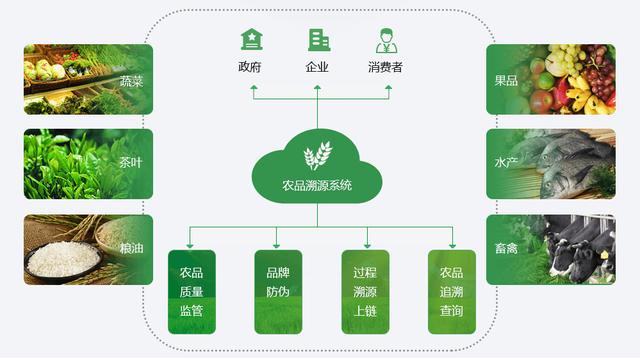 imtoken是哪个国家的_imtoken打包要多久_imtoken有ios版吗