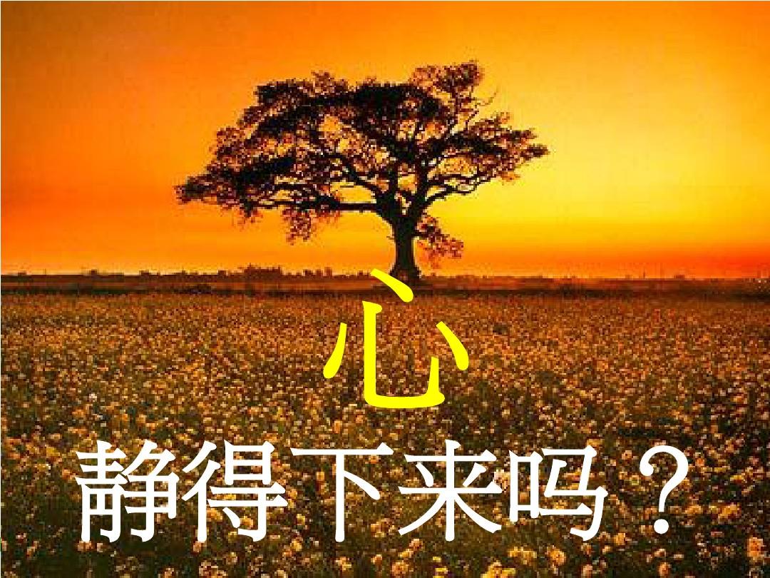 芷杨珠心算_杨芷_芷杨取名男孩名字