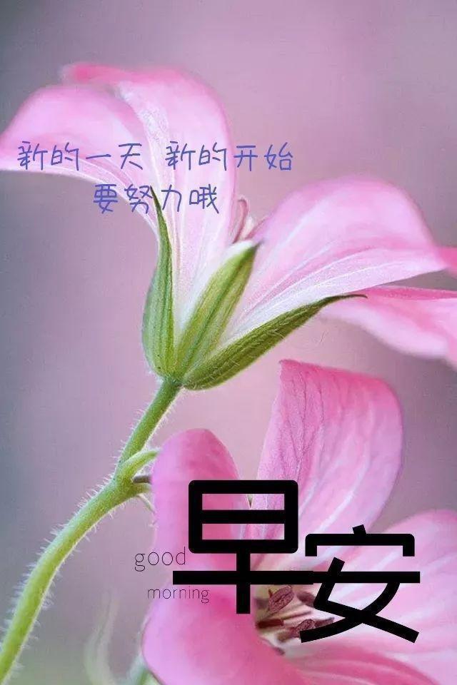 九月十九_九月英语_九月十六