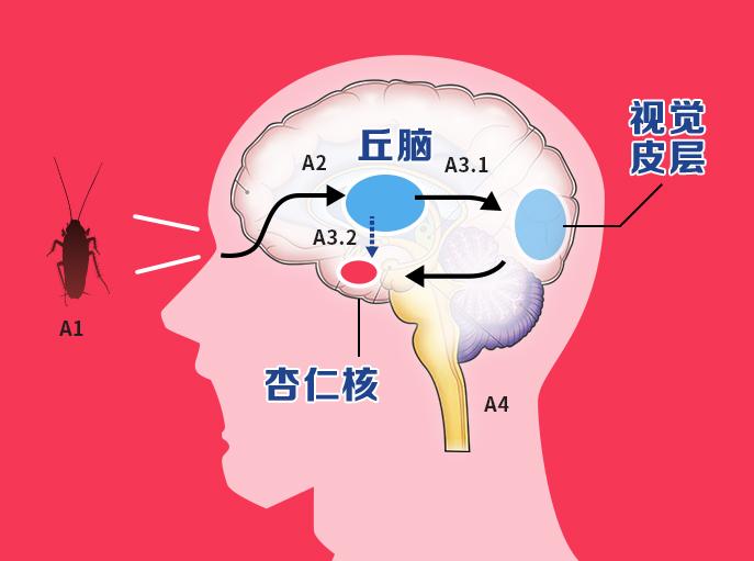 手机游戏戳蟑螂_抓蟑螂小游戏_戳蟑螂手机游戏叫什么