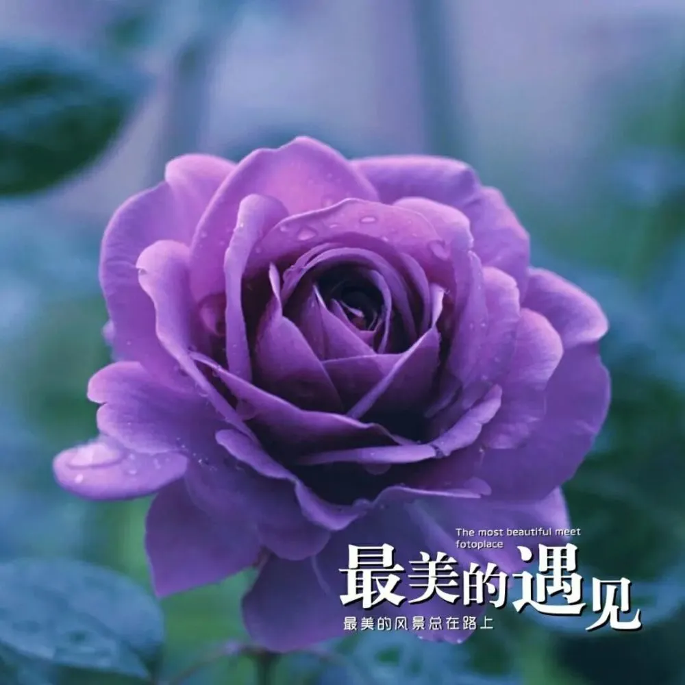 佳美丽源老板是谁_美丽佳_佳美丽源养生会所怎么样