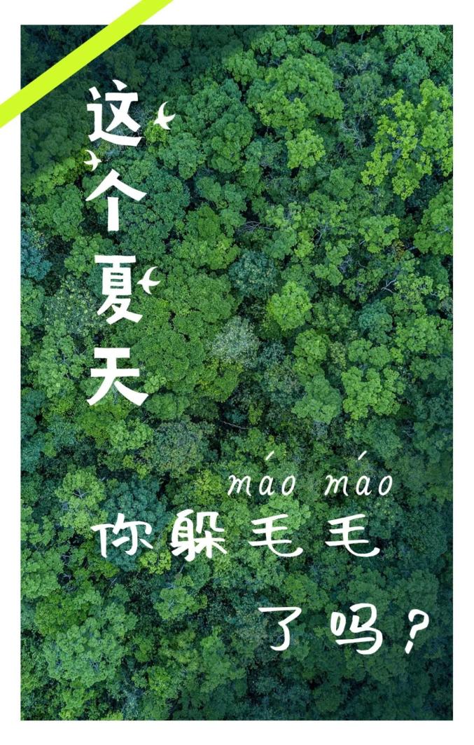 五月天有多少首歌_五月有几天_五月天有哪些歌