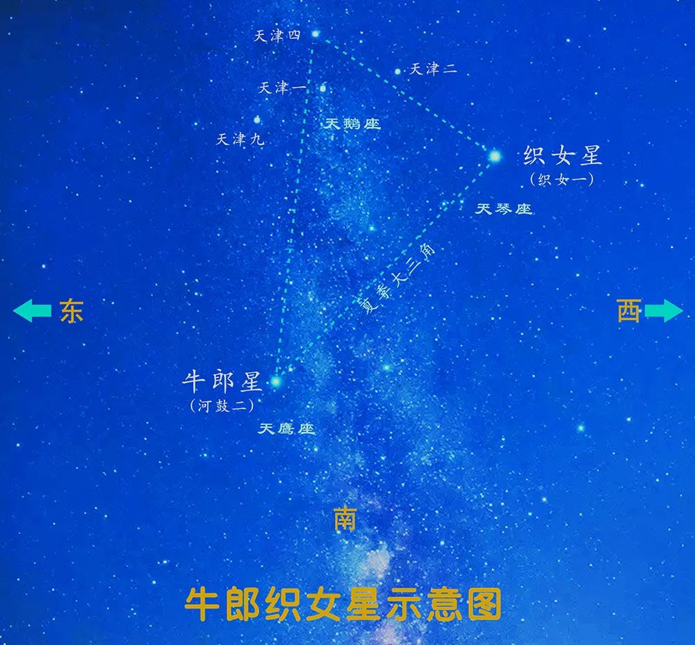 猫神大人和七颗星星krkr_猫神大人与七颗星星_星星猫猫