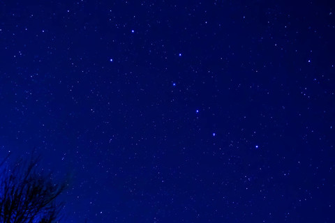 猫神大人与七颗星星_星星猫猫_猫神大人和七颗星星krkr