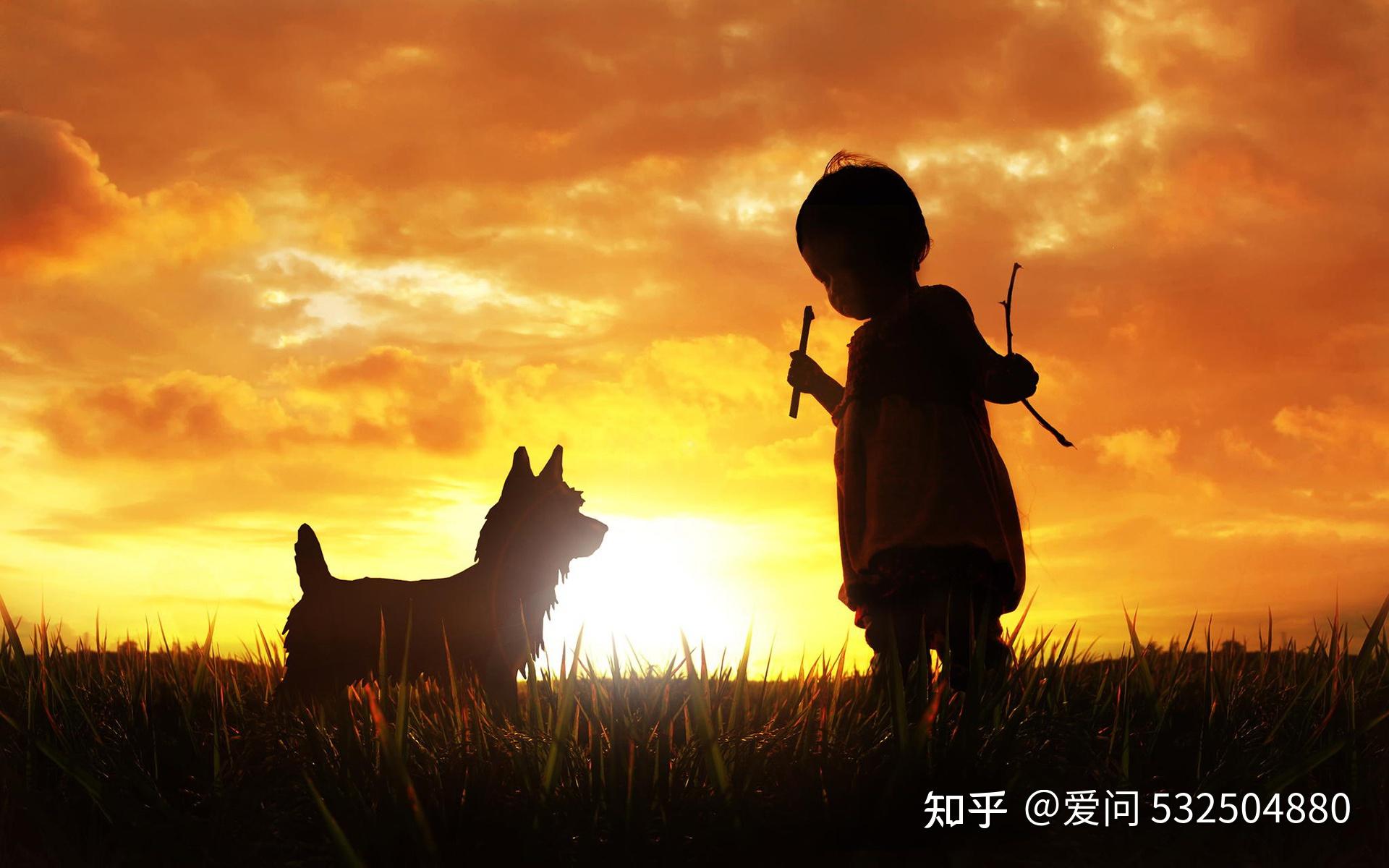 手机游戏调研报告_游戏调研报告怎么写_手游市场调研报告