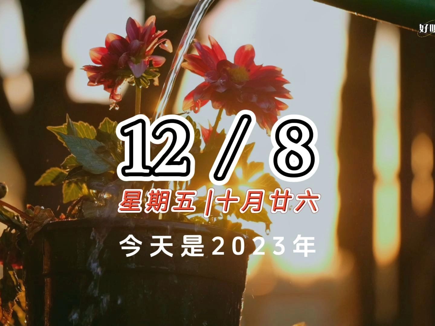 2023年5月12日是什么日子_2023是什么日子_2023年月份