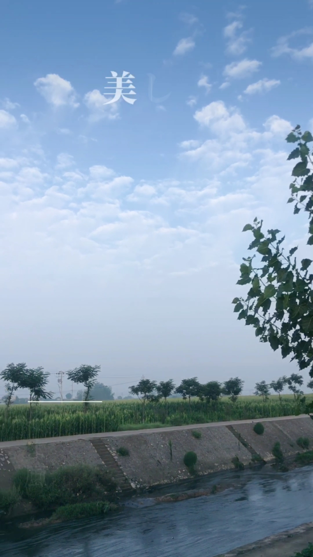 雨后小故事_雨后小故事_雨后小故事