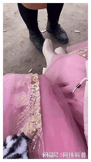 美女上床软件_美女上床软件_美女上床软件