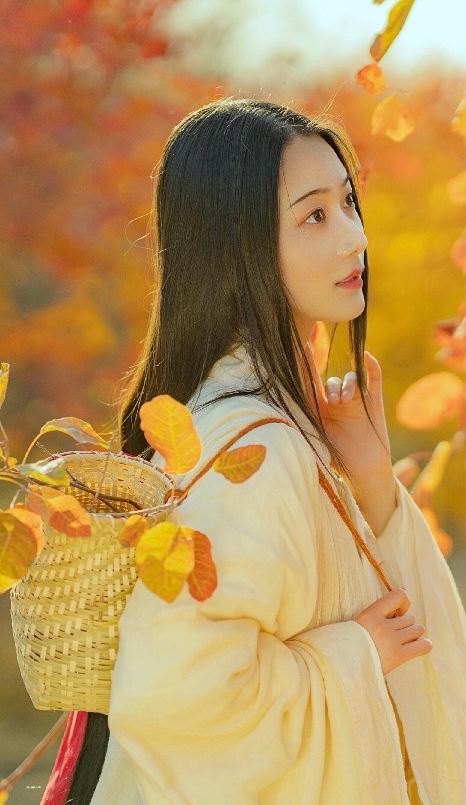 几九冻死狗_几九今天是几九_几九了
