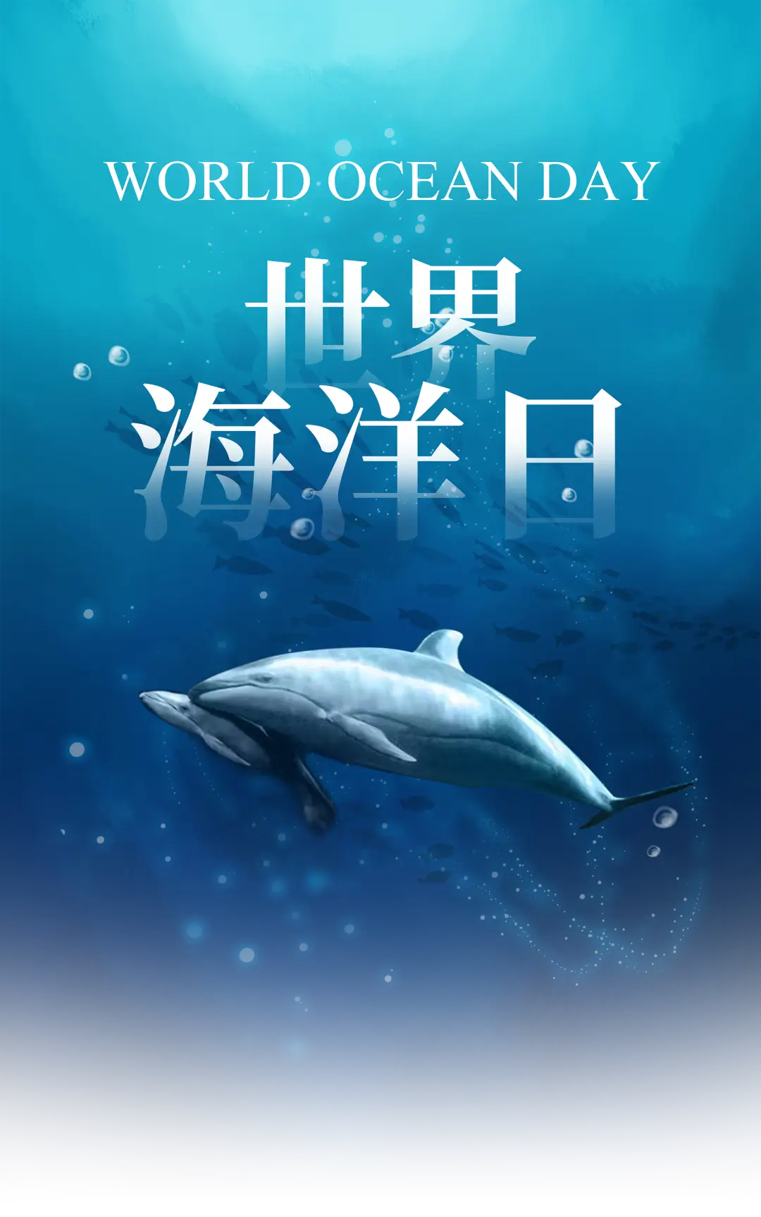 海豹国际游泳俱乐部_国际海豹日_海豹国际安保公司