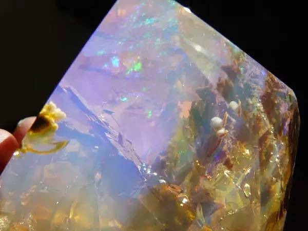 异兽类手游_手机上的异兽游戏_异兽手游有没有好玩的