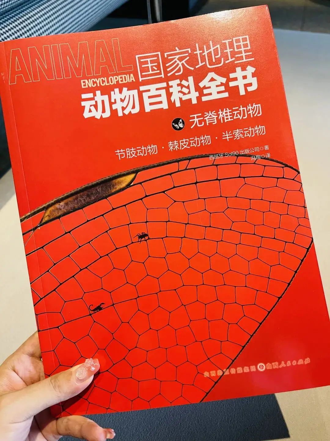 小狐狸钱包添加btc_小狐狸钱包怎么添加马蹄链_小狐狸钱包添加sol链