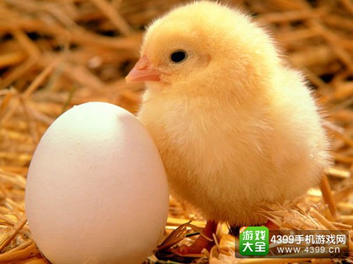 手机玩游戏用开陀螺仪吗-手机游戏陀螺仪：提升体验还是噱头？听