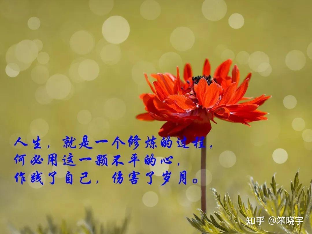 七生_生孩子_七生