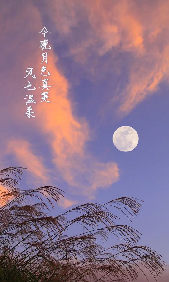微信表情小羊图标_微信羊的图标_微信小羊图标