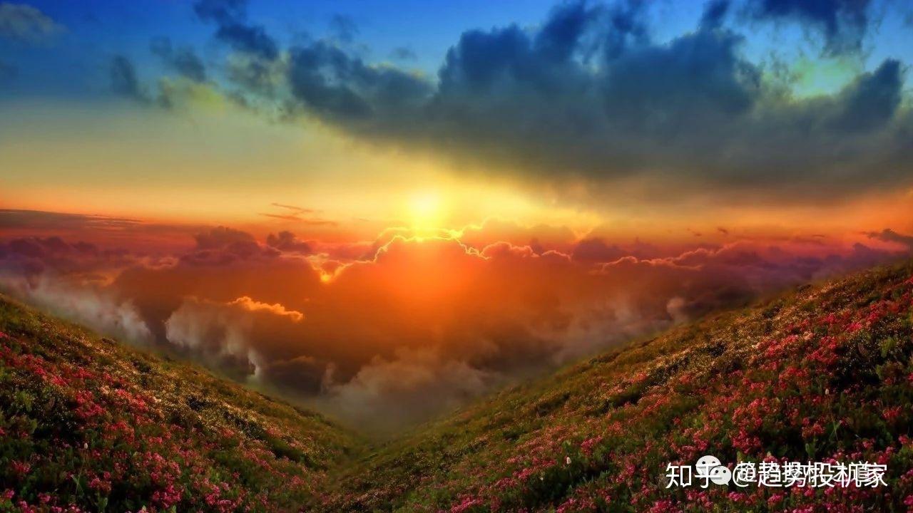 巴菲特波音股票_巴菲特波动我不是神_波巴菲特