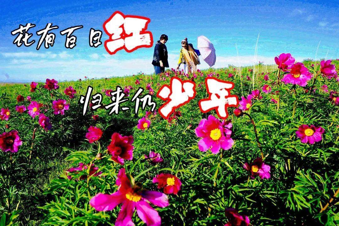 2010年9月9日_月年2023年_那年有润月年