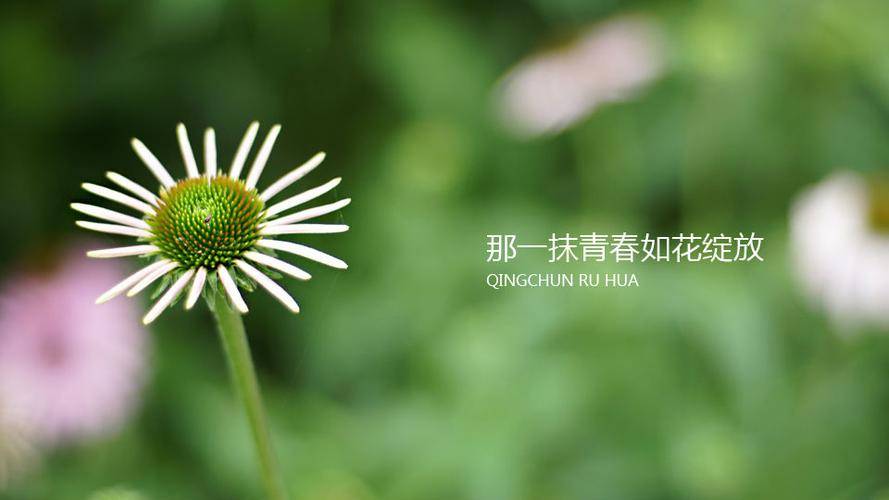 那年有润月年_2010年9月9日_月年2023年