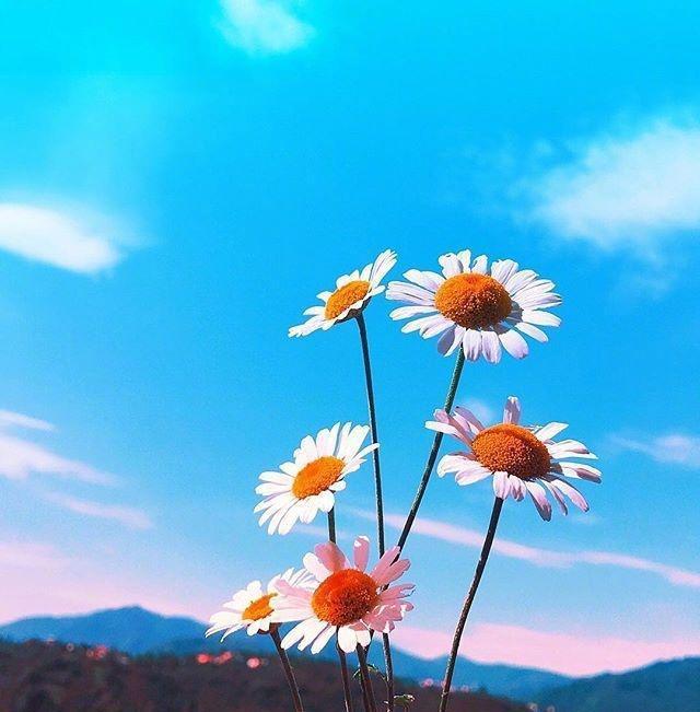 崔三娘带v1还是v3_崔三娘捏脸_崔三娘