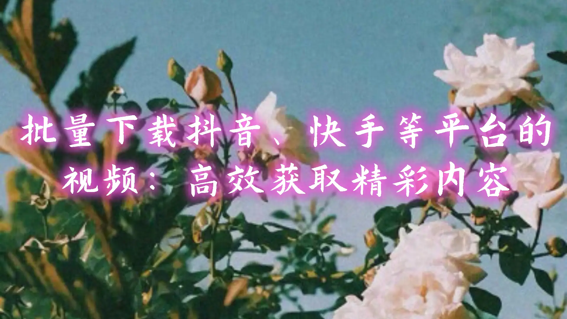 快手客服电话举报_快手举报电话人工服务_快手举报电话24小时人工服务热线
