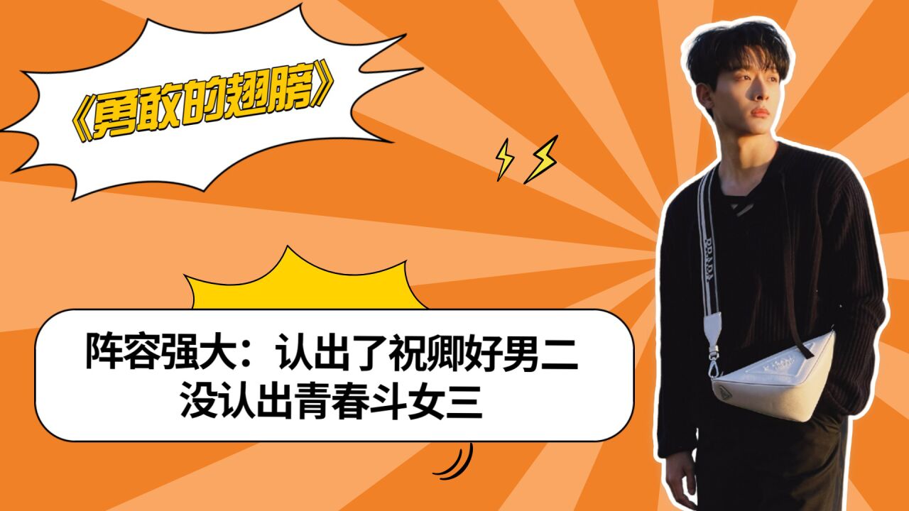 翅膀电视剧在线观看_电视剧翅膀电视剧_勇敢的翅膀电视剧免费观看全集高清