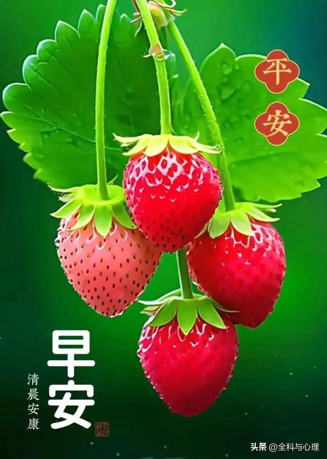 抖音礼物_抖音礼物退款_抖音礼物图标素材