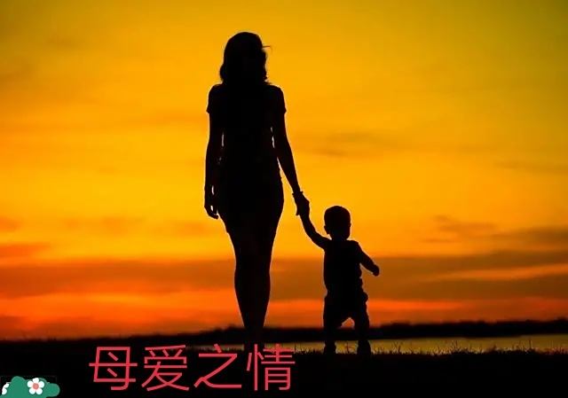 日月日子_12月4日是什么日子_日和月是