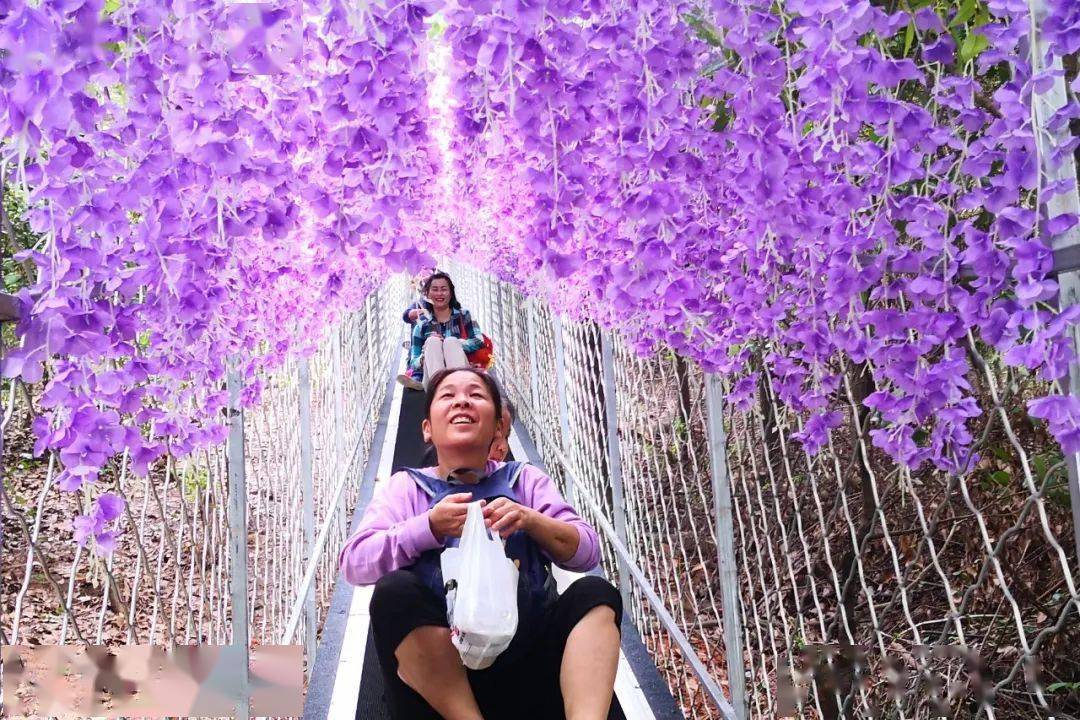 重阳节哪些风俗_重阳节有什么风俗_重阳节有的风俗