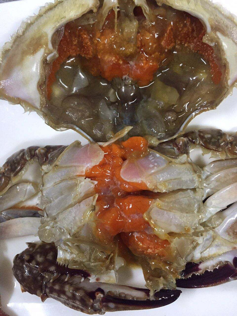 开枪闯关游戏_手机游戏带枪开门上墙_开枪的游戏叫什么