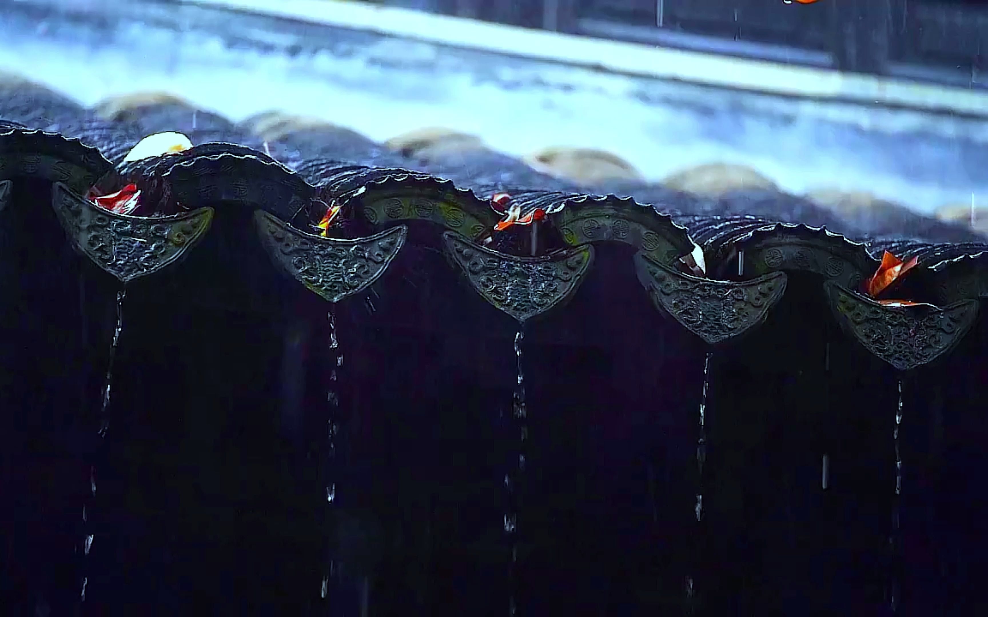 恋如雨止说的是什么_恋如雨止mv的意思_恋如雨止