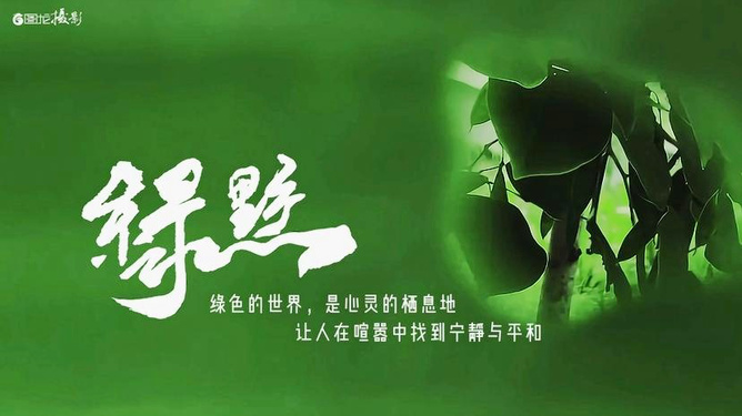 拾光梦行_拾光梦行歌曲_拾光梦行好玩吗