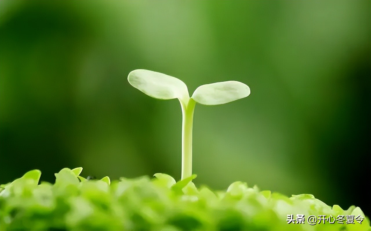 网站发布_新开传奇发布网站_手游公益服发布网站