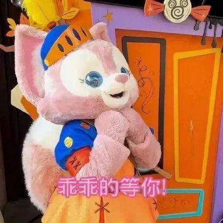 小狐狸钱包转出未到账怎么办呢_小狐狸钱包转账成功钱没收到_狐狸钱包转ronin钱包