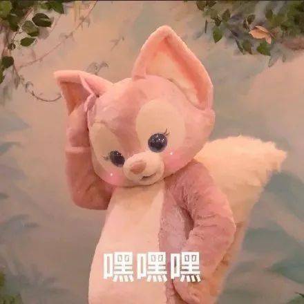 小狐狸钱包转账成功钱没收到_小狐狸钱包转出未到账怎么办呢_狐狸钱包转ronin钱包