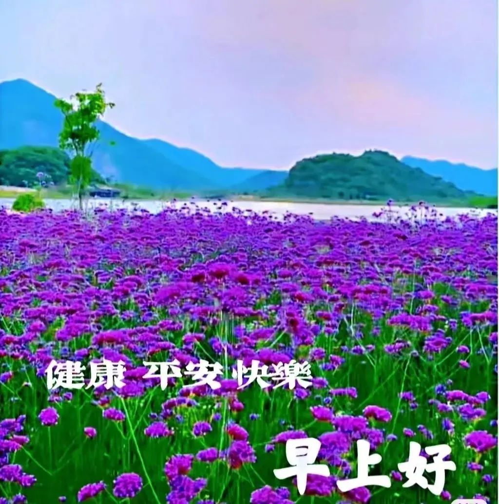 外国生产日期怎么看日月年_2022年10月31日_那年有润月年