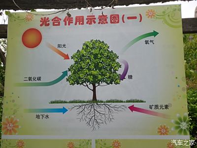手机游戏代码论坛_discuz论坛代码_论坛代码