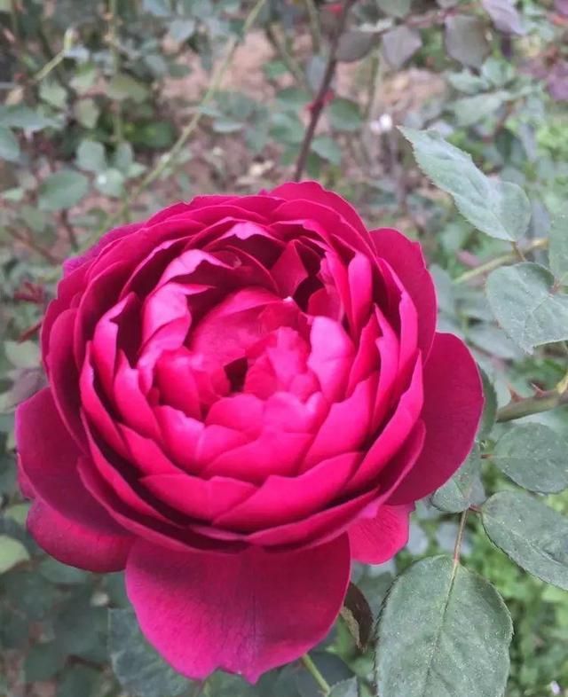 夏季时间从几月份开始_夏季是几月到几月开始_夏天开始月份