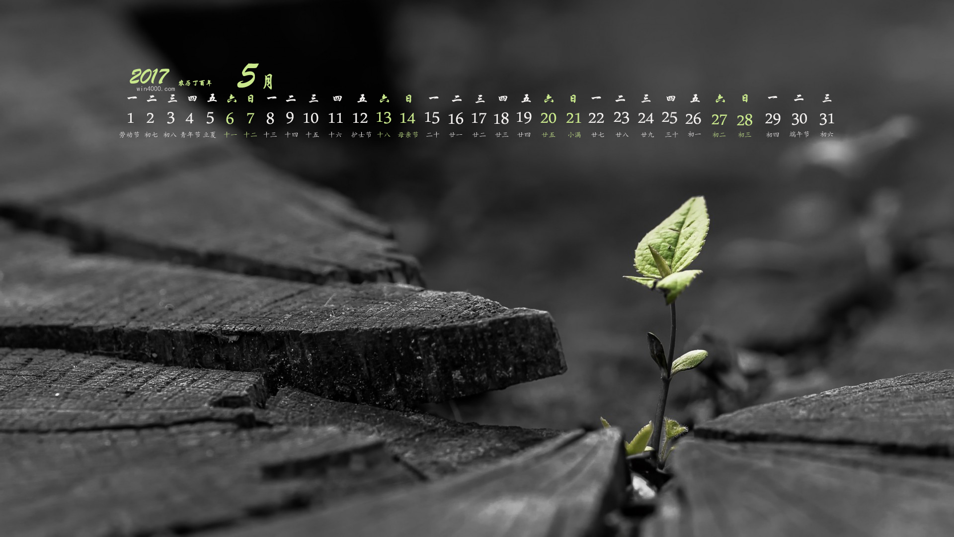 七月份日历表图片-七月日历：藏着夏天秘密与心情故事的记忆册
