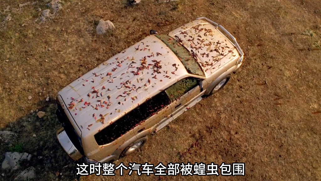 纸飞机手机游戏忘了名字了_纸飞机小游戏_纸飞机游戏手机推荐