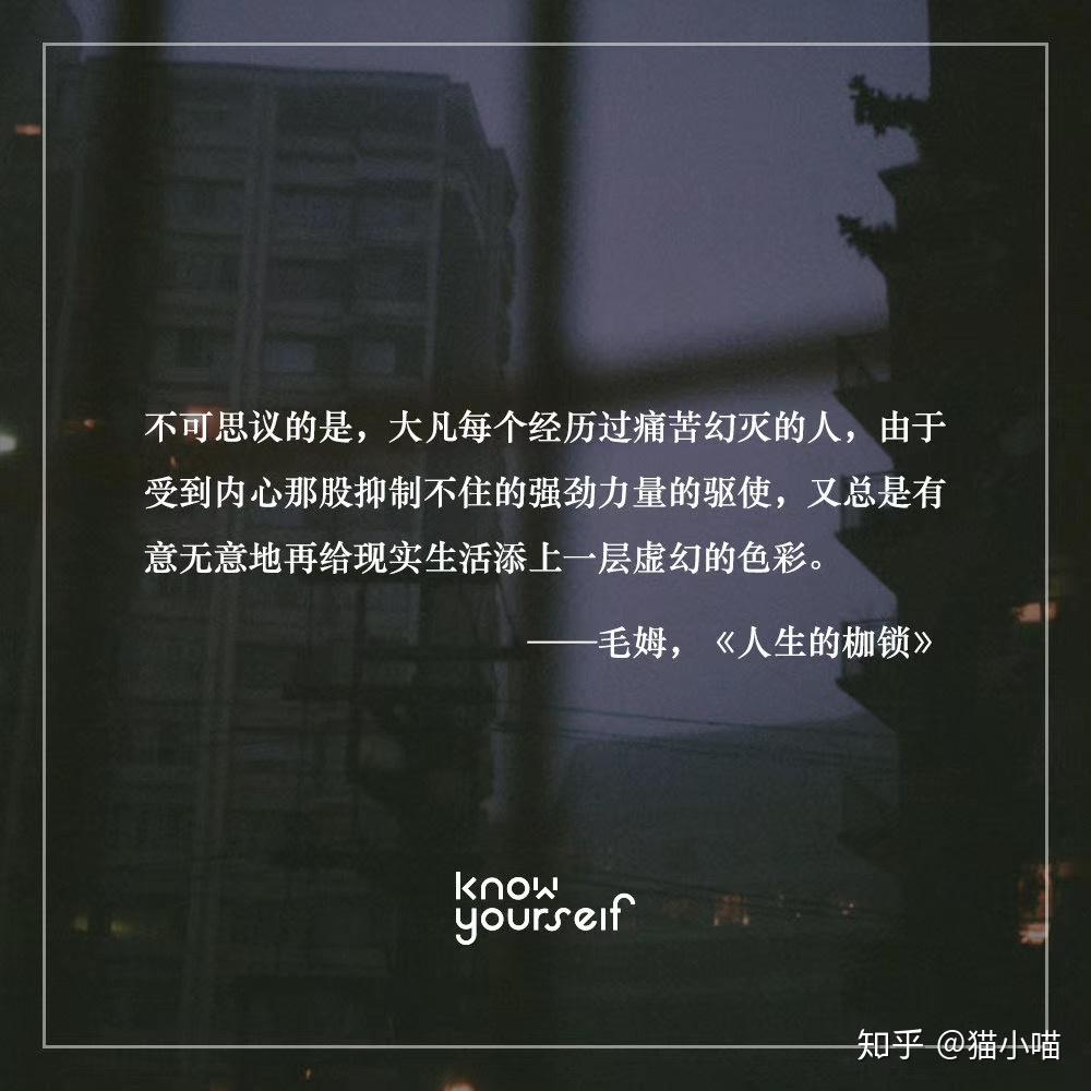 牌灵是什么_什么牌_什么牌