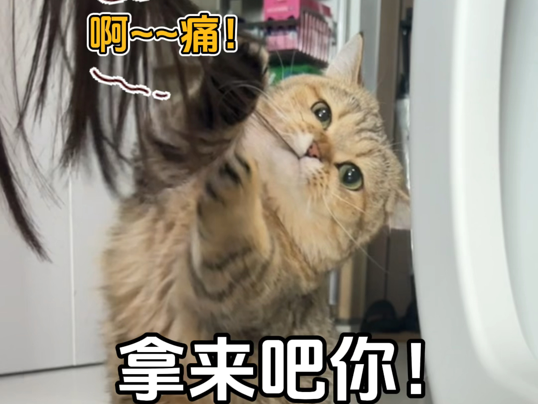 小狐狸钱包heco_小狐狸钱包支持bsc网络吗_小狐狸钱包api